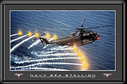 Navy Sea Stallion Helicopter