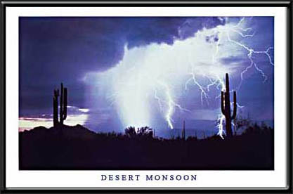 Desert Monsoon Neon Picture
