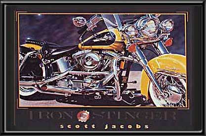 Iron Stinger Harley Davidson by Scott Jacobs
