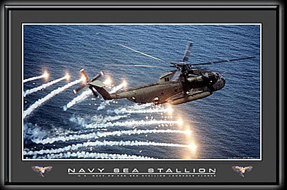 Navy Sea Stallion Helicopter