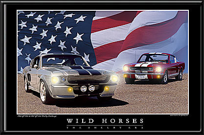 Wild Horses 1966 GT 350 Shelby Mustang