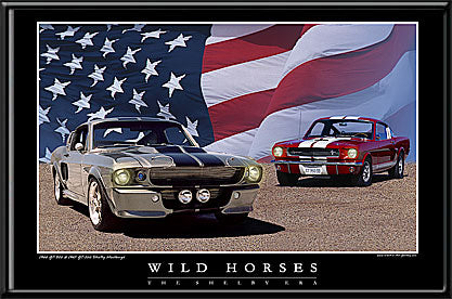 Wild Horses 1966 GT 350 Shelby Mustang