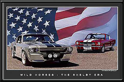 Wild Horses Shelby Mustang